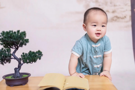 宜都可爱的企鹅宝宝